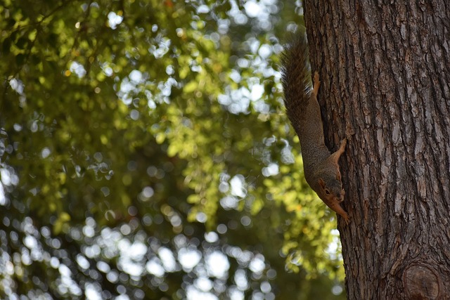 自动调整供 自动调整供