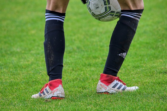 大众的篮球 大众的篮球