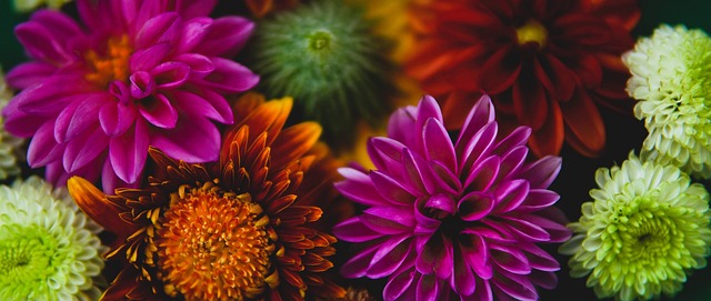 冠军头衔 冠军头衔