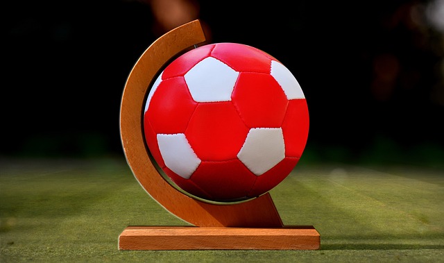 在冬季转会 在冬季转会