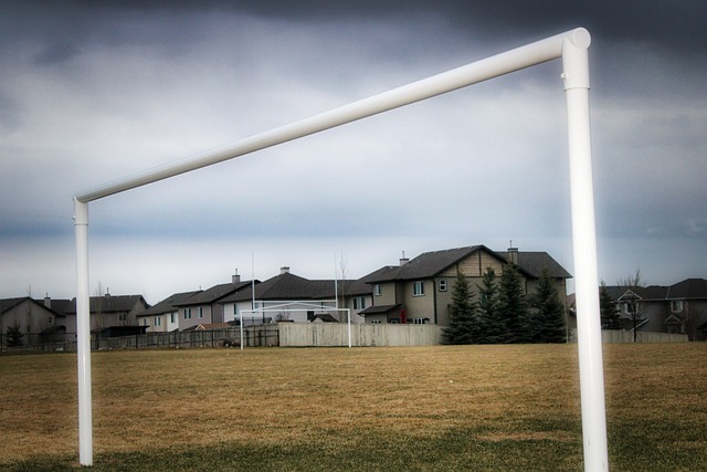 整个伯纳乌 整个伯纳乌