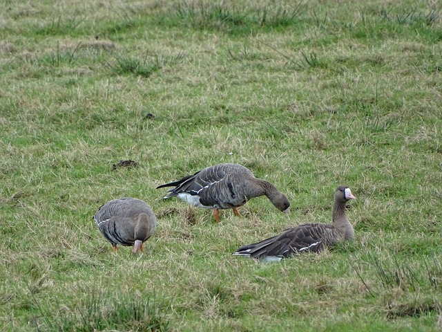 除心理因素 除心理因素