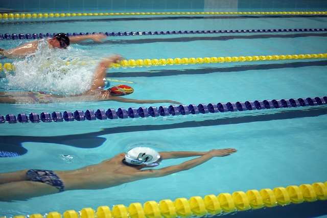 在赛场上 在赛场上