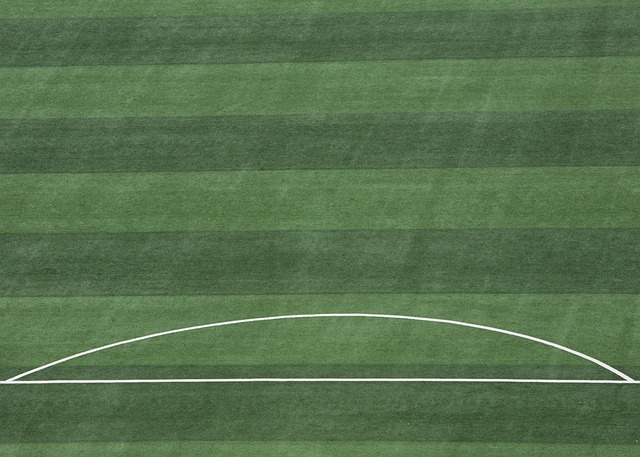 将再次在绿 将再次在绿