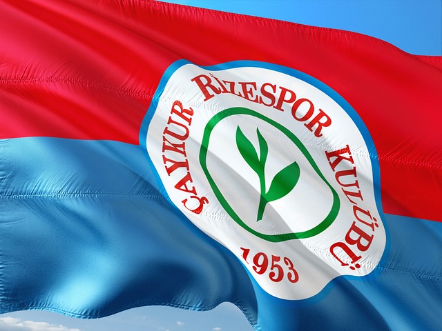 上海签新后 上海签新后