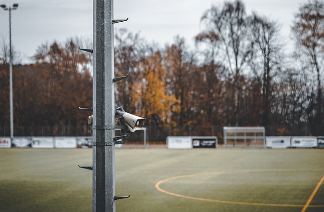 从而营造一 从而营造一